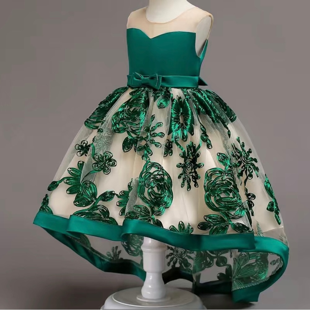 Girls Beautiful dress